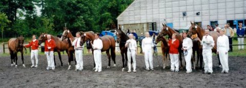 Madigan L med sin afkomssamling, der fik sølvmedalje. Blandt dem er flere konkurrenceheste på op til Prix Sct. Georg niveau.