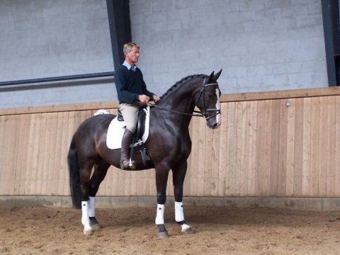 Diamond Agencys Top Dollar